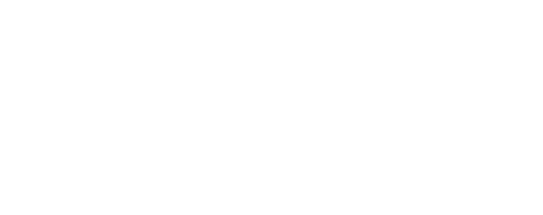 Southern Forge